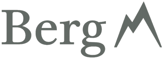 Berg Search Logo